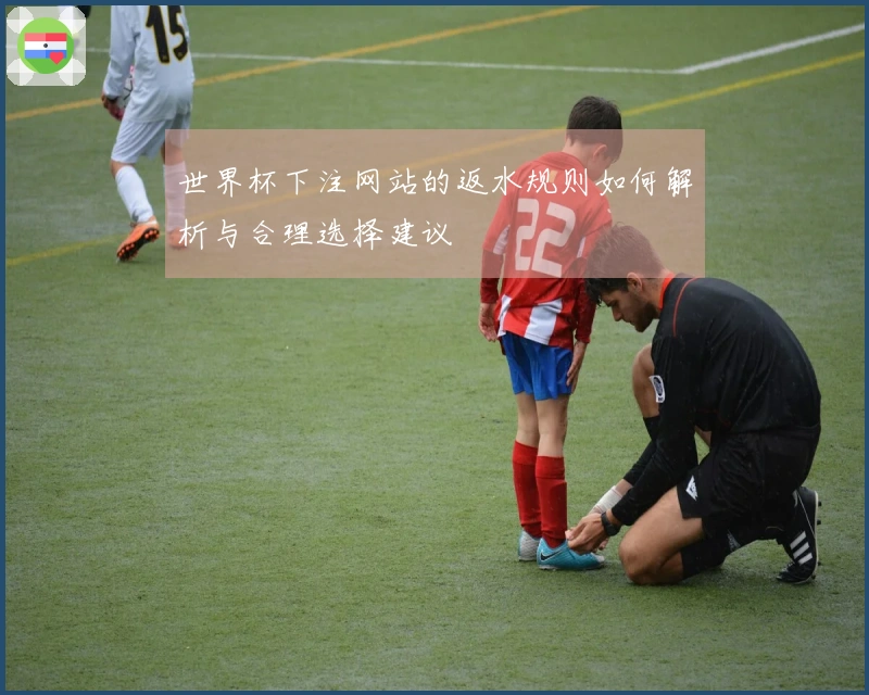 世界杯下注网站的返水规则如何解析与合理选择建议